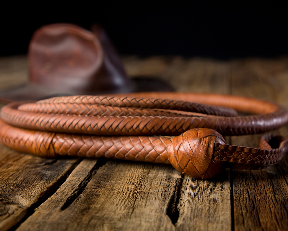 bullwhip crack