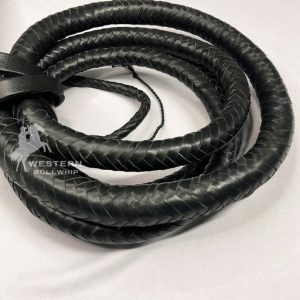 lion tamer whip