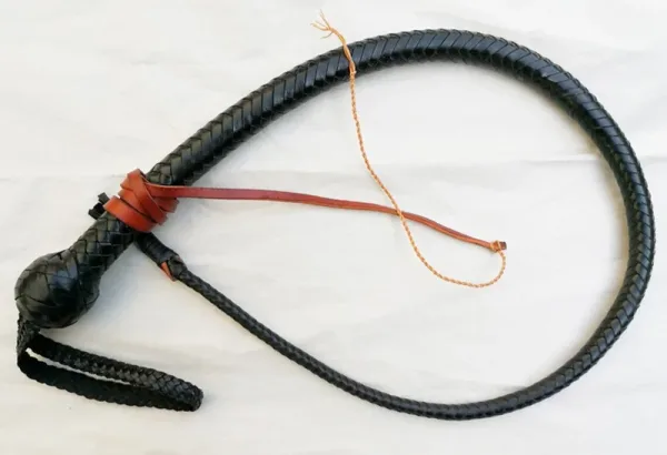 black snake whip