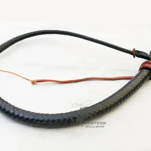 black leather whip​
