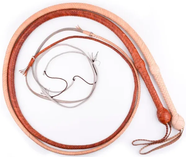 Whip Indiana Jones