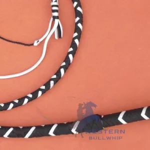 images of whips