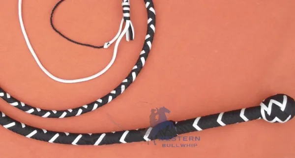 images of whips
