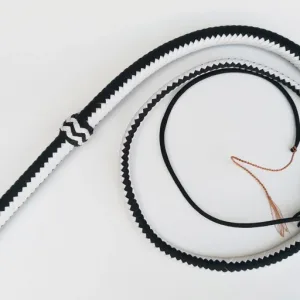 lion tamer whip