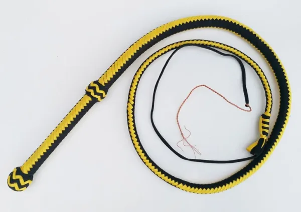 paracord whip