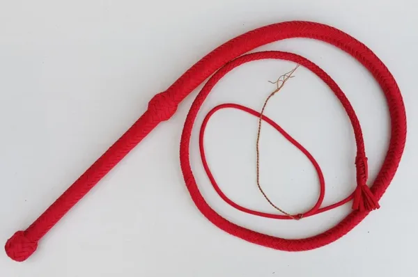 Handmade paracord bullwhip