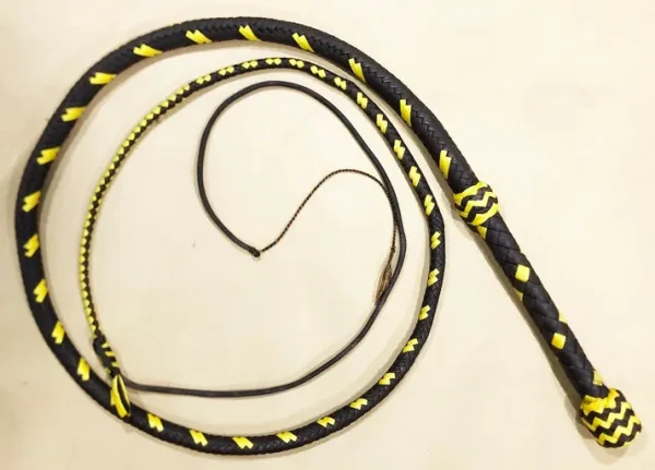 paracord bullwhip