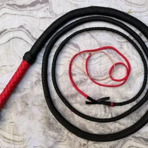 real bullwhip