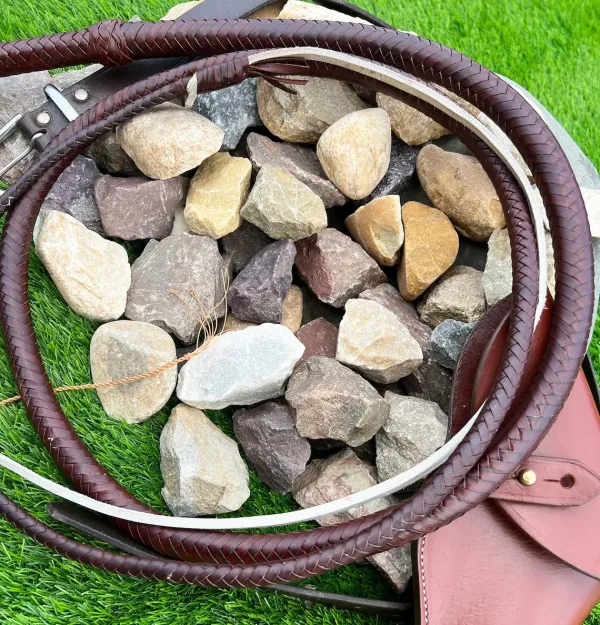 leather whip