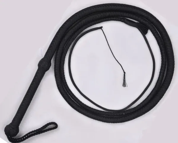 whip paracord
