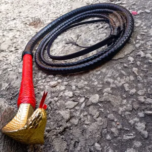 Pommeled Bullwhip